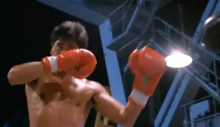 Sun Chung: Destiny’s Champion (1997) 
