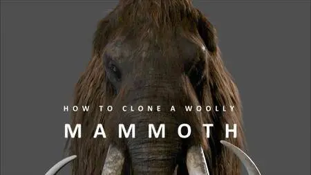 Smithsonian Channel - How to Clone a Woolly Mammoth (2015)