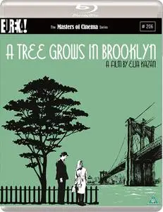 A Tree Grows in Brooklyn (1945) [w/Commentary]