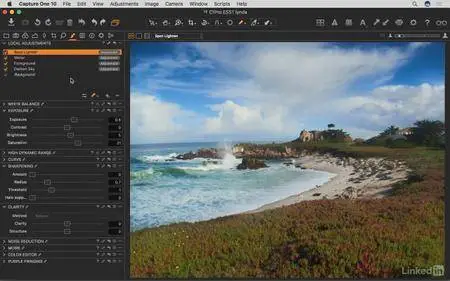 Lynda - Capture One Pro 10 Essential Training (2017)