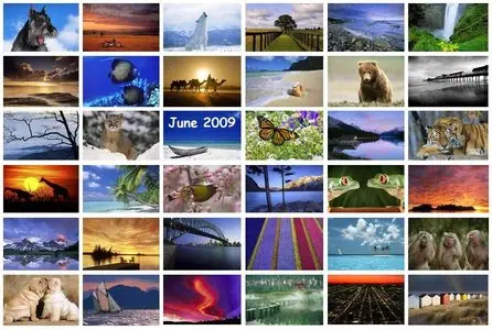 Webshots Premium Wallpapers Collection June 2009
