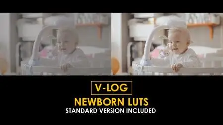 V-Log Newborn and Standard LUTs 51434005