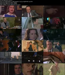 The Manhunt (1975) 