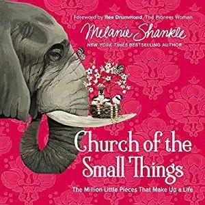 Church of the Small Things: The Million Little Pieces That Make Up a Life [Audiobook]