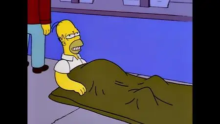 Die Simpsons S05E16
