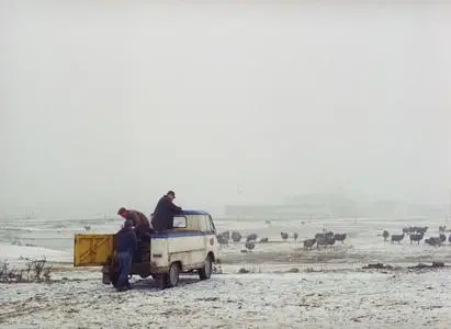 Fårö Document / Fårö dokument (1970) [Criterion Collection]