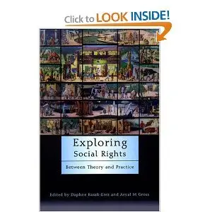 Exploring Social Rights: Between Theory and Practice