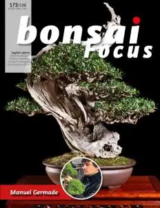 Bonsai Focus (English Edition) - November-December 2021