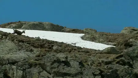 La France sauvage (2012)