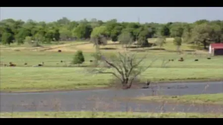 Willie Nelson & Family S01E04