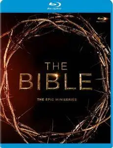 The Bible (2013)