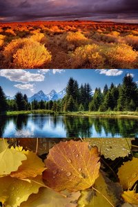 20 Amazing Nature Full HD Wallpapers 1080p [Set 20] 