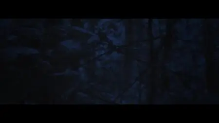 Waldgeist (2017)