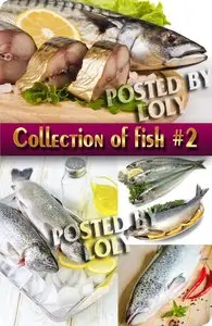 Food. Mega Collection. Fish #2 - Stock Photo