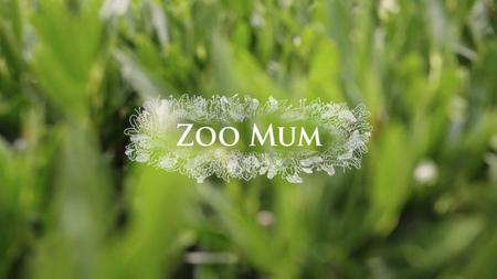 BBC Our Lives - Zoo Mum (2020)
