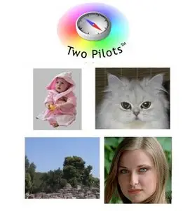 Tint Guide Products All-in-1 [08-2010]