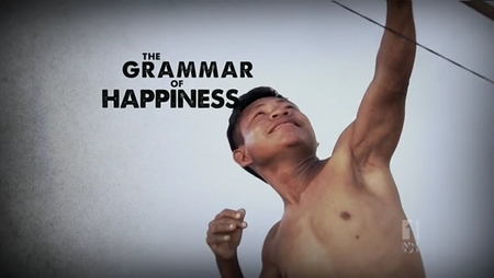 The Grammar Of Happiness (2013)