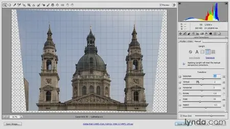 Photoshop CC Raw Workshop (2013) [repost]