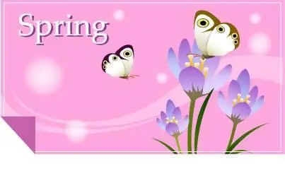 IT Design Flowers & Insects