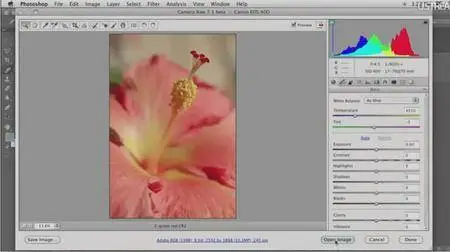 CreativeLive - Photoshop Deep Dive: Adobe Camera RAW [repost]