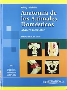 Anatomia De Los Animales Domesticos/ Anatomy of the Domestic Animals: Texto Y Atlas En Color