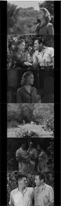 Daughter of the Jungle (1949) [w/Commentary]