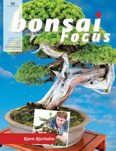 Bonsai Focus N.82 - November-Dezember 2016 (German Edition)