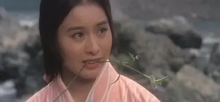 The Magoichi Saga (1969)