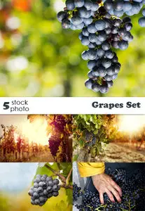 Photos - Grapes Set