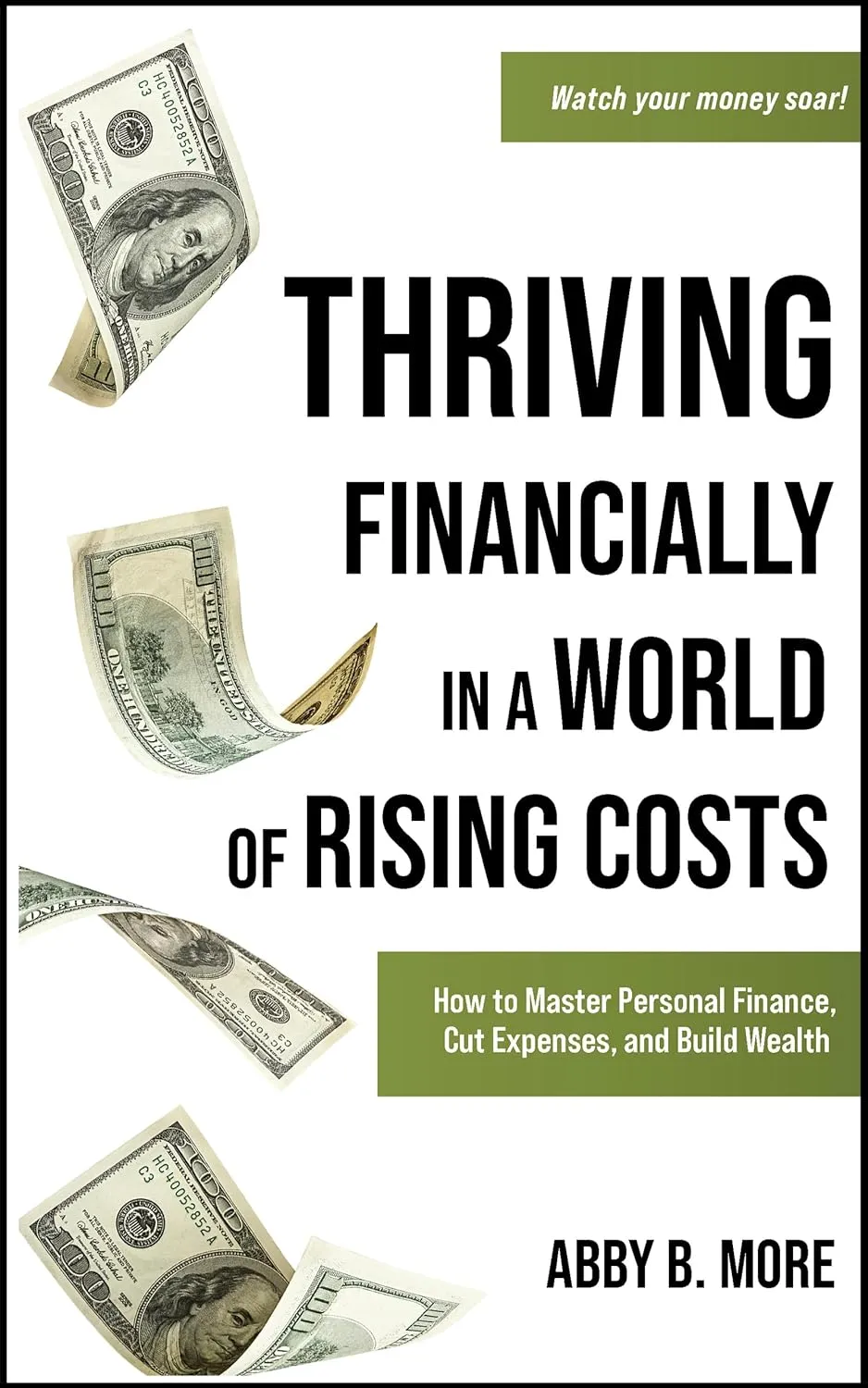 Thriving Financially In A World Of Rising Costs: How to Master Personal Finance, Cut Expenses, and Build Wealth