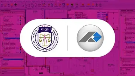 Master In Planswift Professionals 11.0