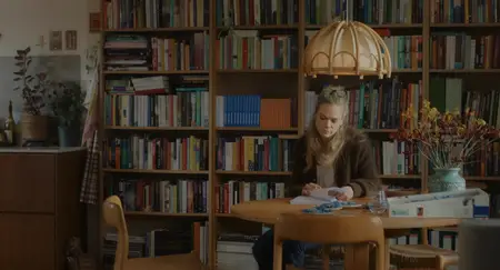 Drømmer / Dreams (Sex Love) (2024)