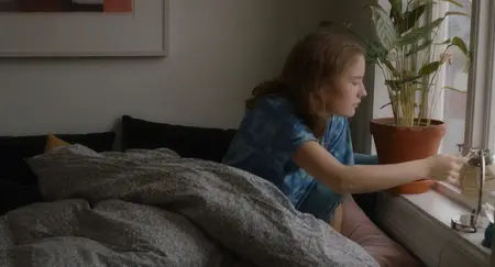 Drømmer / Dreams (Sex Love) (2024)