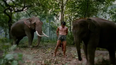 Tom yum goong (2005)