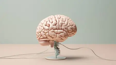 Rewire Your Brain With Neuroplasticity