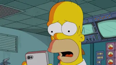 Die Simpsons S33E15