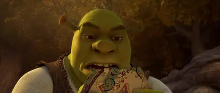 Shrek Forever After (2010)
