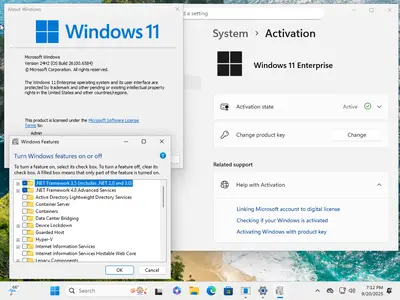 Windows 11 Enterprise 24H2 Build 26100.6584 (No TPM Required) With Office 2024 Pro Plus Multilingual September 2025