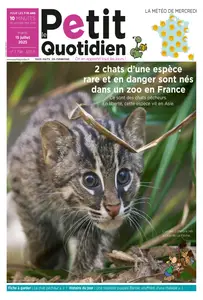 Le Petit Quotidien - 15 Juillet 2025