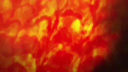 One Piece (1999) - S21E113 An Inherited Technique! Unleashing Odens Secret Swordplay! -HatSubs