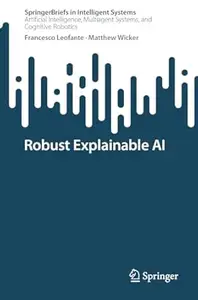 Robust Explainable AI