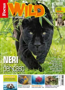 Focus Wild - 25 Luglio 2025