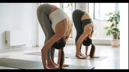 From Core to Legs: Hatha Yoga to Strengthen & Stretch
