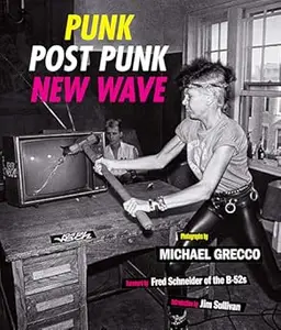 Punk, Post Punk, New Wave: Onstage, Backstage, In Your Face, 1978-1991 (Repost)