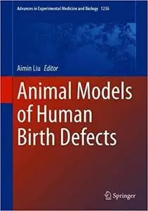 Animal Models of Human Birth Defects (Advances in Experimental Medicine and Biology)
