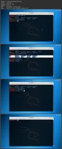 Learn Kali Linux Command Line from Scratch