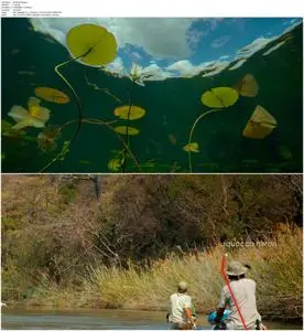 Into the Okavango (2018)