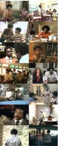 A Hero Ain't Nothin' But a Sandwich (1978)