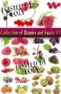 Food. Mega Collection. Berries and Fruits #1 - Stock Photo