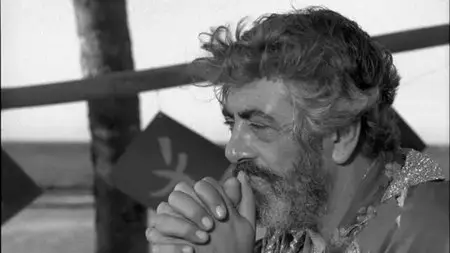 The Noah (1975)